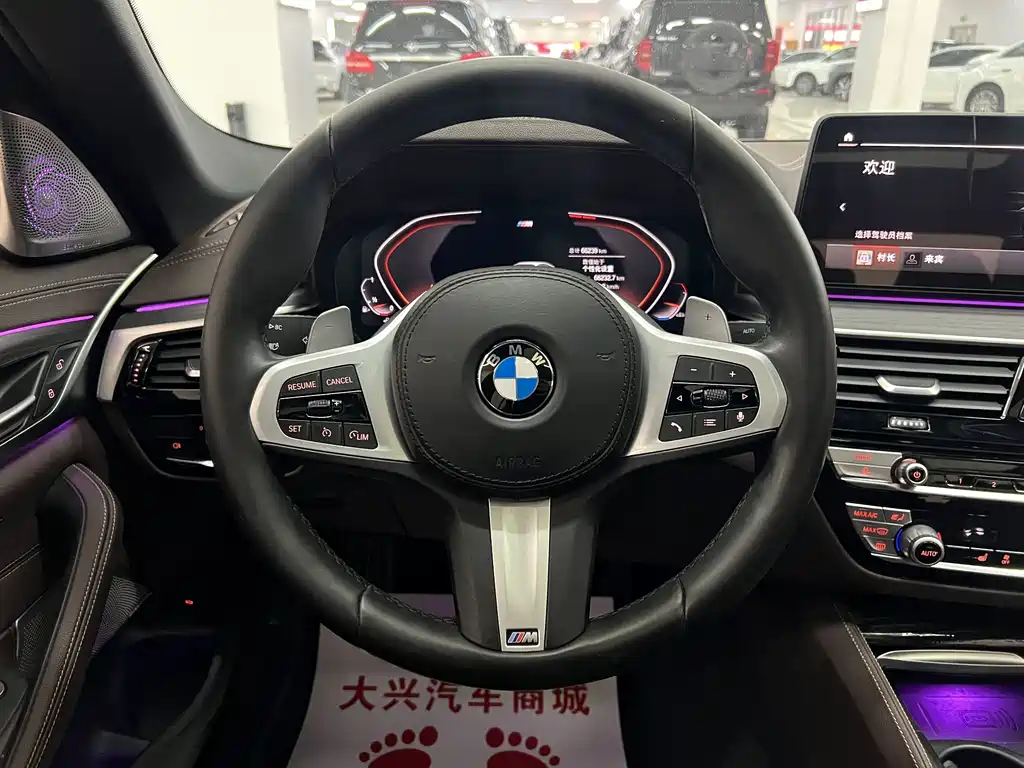 BMW 5 Series 2021 530Li Leading Edition M Sport Package - фото 11
