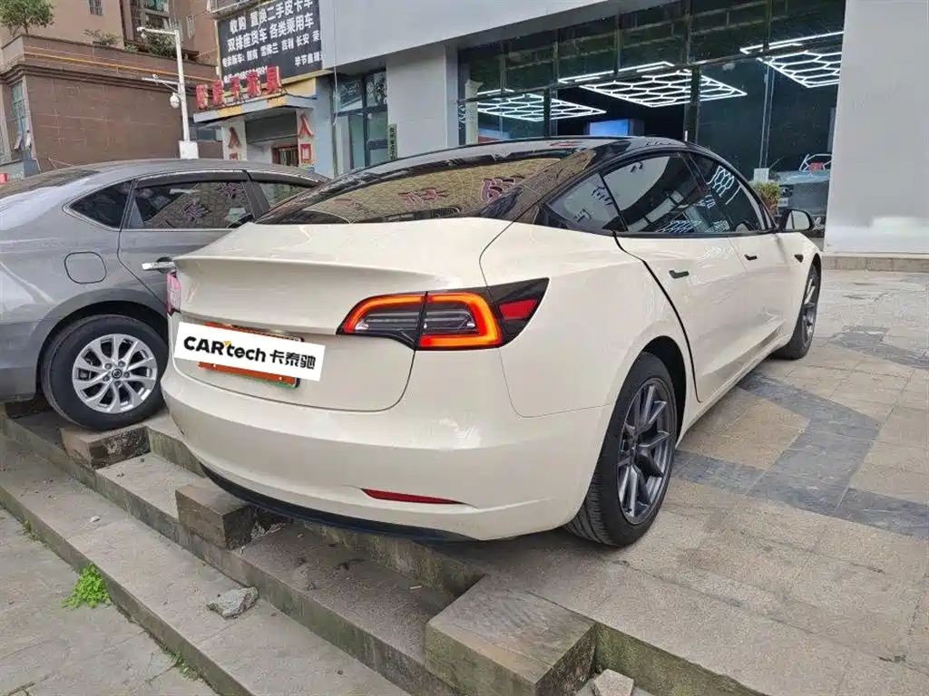 Tesla Model 3 2021 Standard Range Plus RWD 3D6
