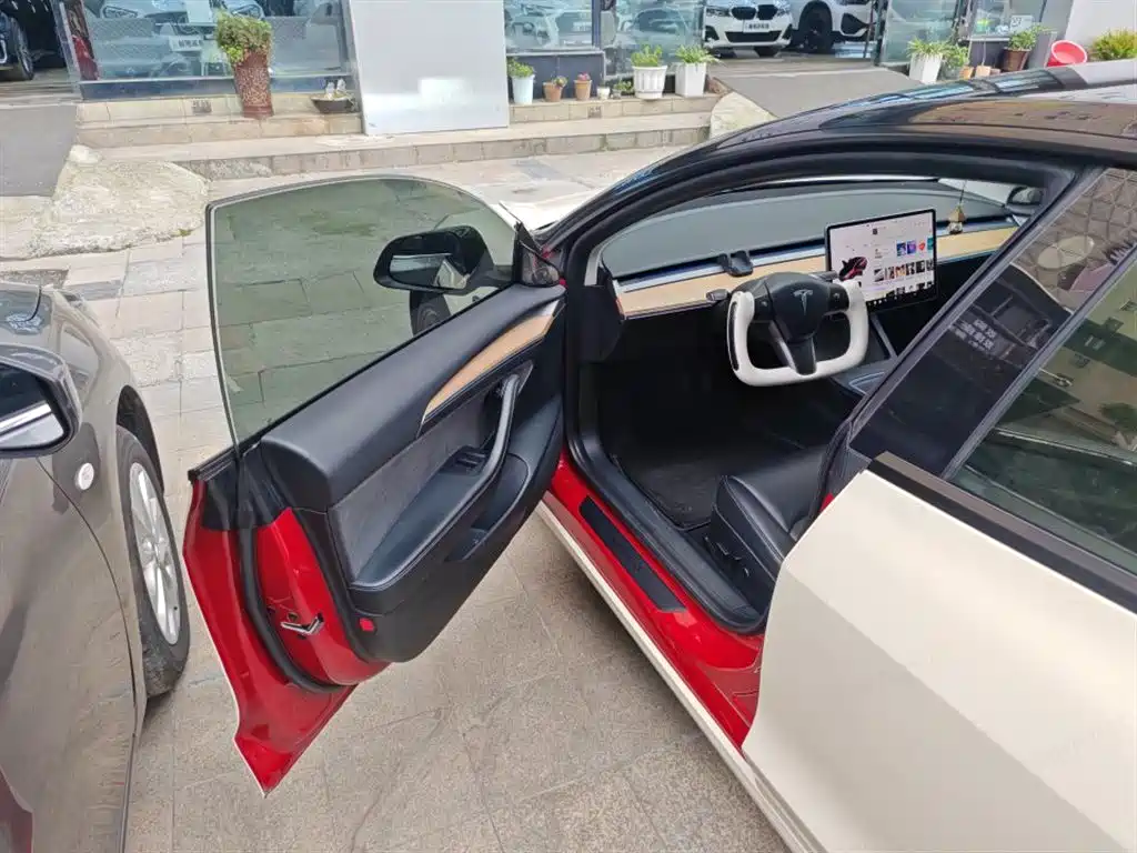 Tesla Model 3 2021 Standard Range Plus RWD 3D6