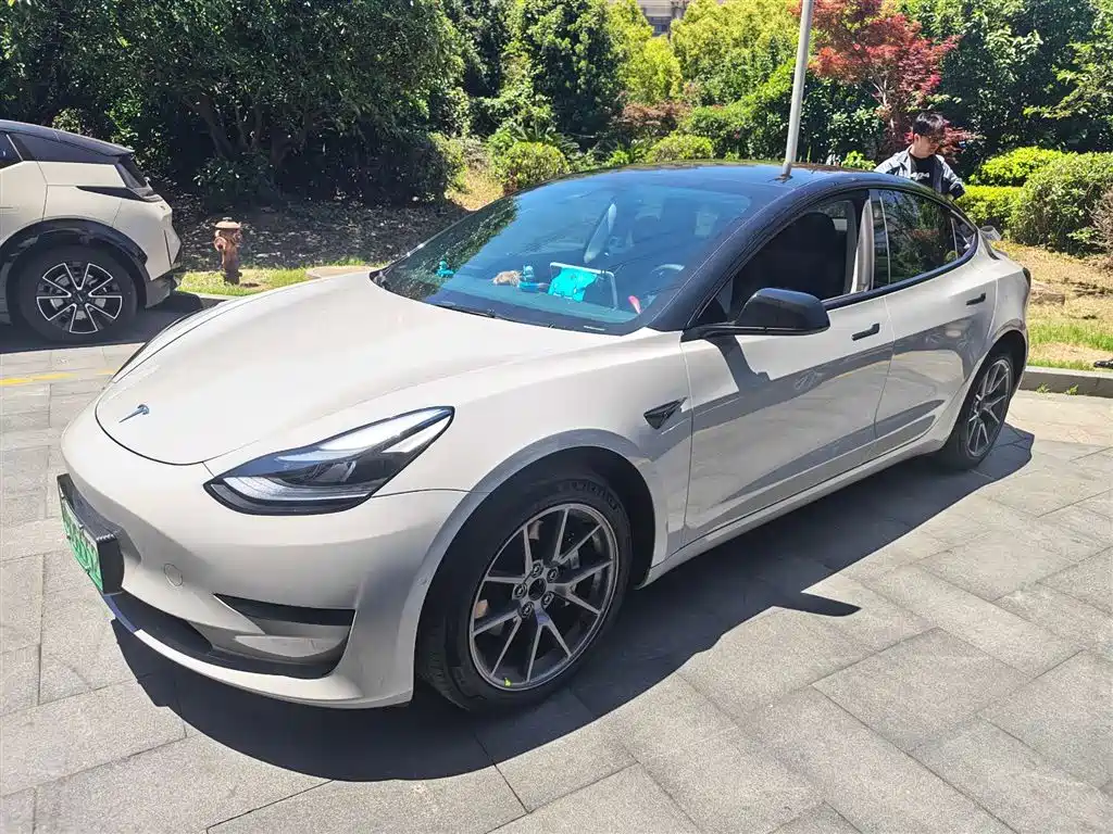 Tesla Model 3 2022 Rear-Wheel Drive