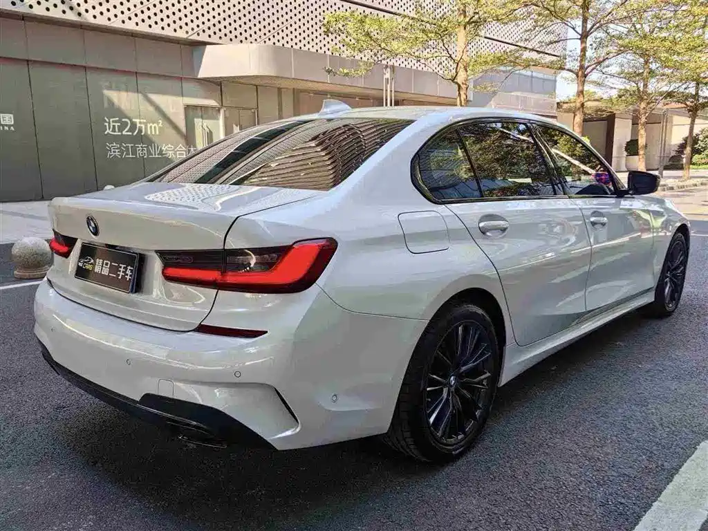 BMW 3 Series 2020 325Li M Sport Night Edition - фото 7