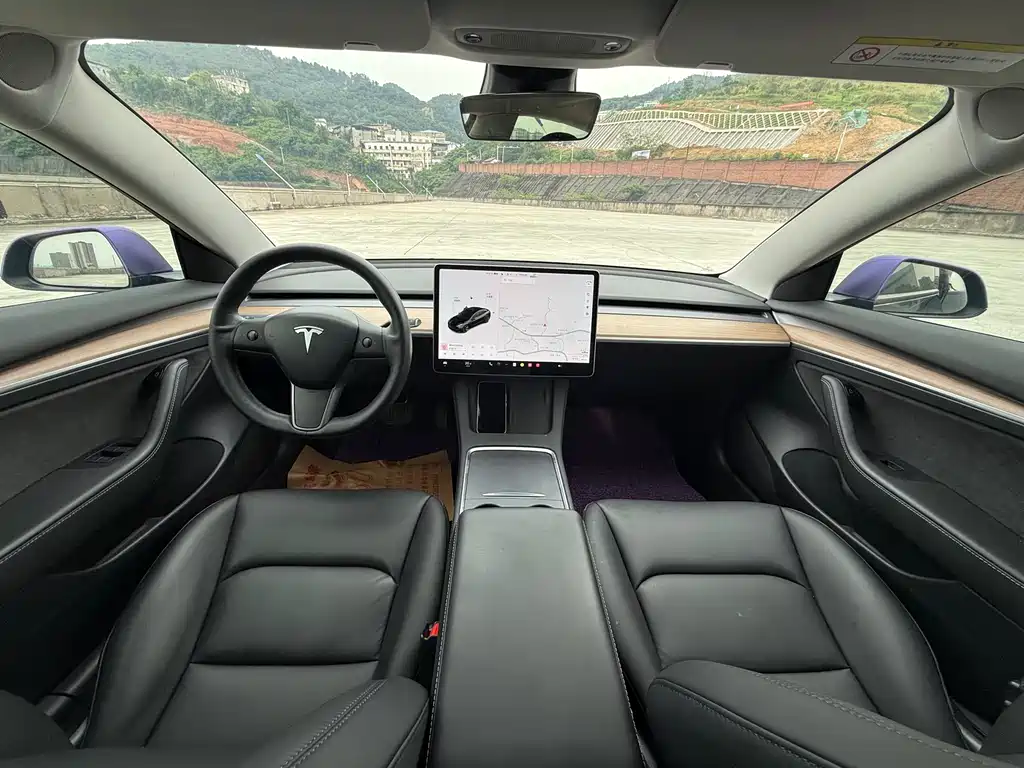 Tesla Model 3 2021 Standard Range Plus RWD