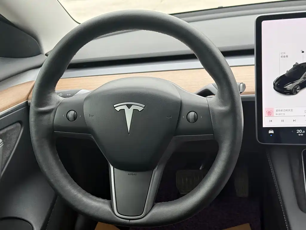 Tesla Model 3 2021 Standard Range Plus RWD