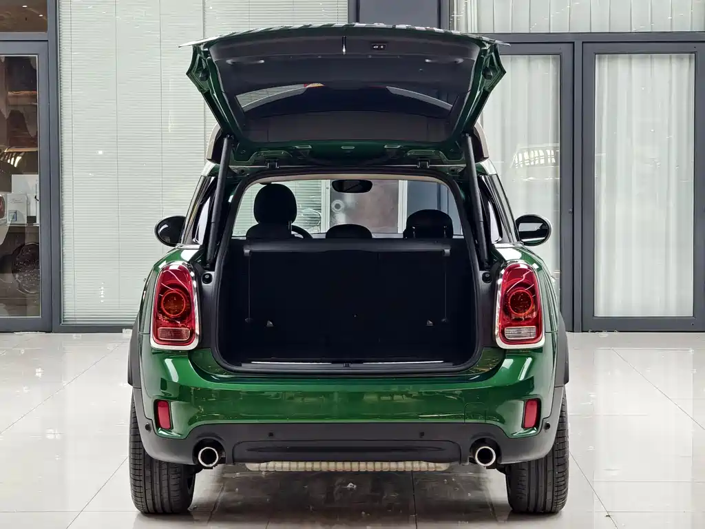 MINI Countryman 2020 2.0T COOPER S ALL4 Polar Edition