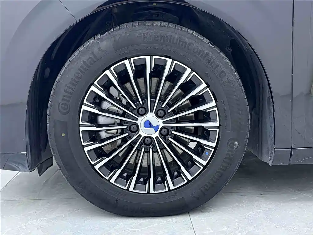 Denza D9 2024 DM-i 980 AWD Zunjong Edition