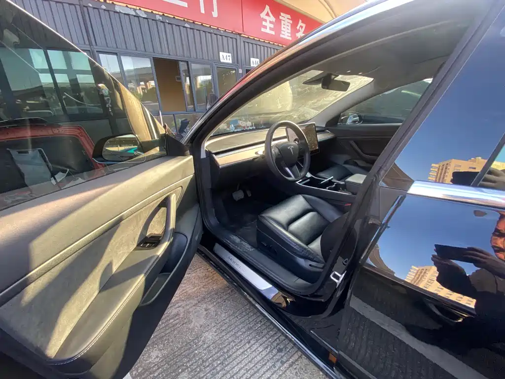 Tesla Model 3 2019 Standard Range Plus RWD