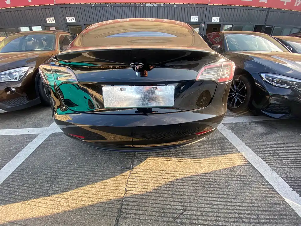 Tesla Model 3 2019 Standard Range Plus RWD