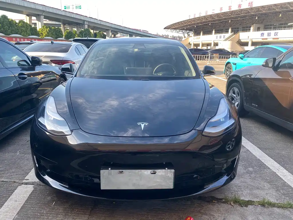 Tesla Model 3 2019 Standard Range Plus RWD