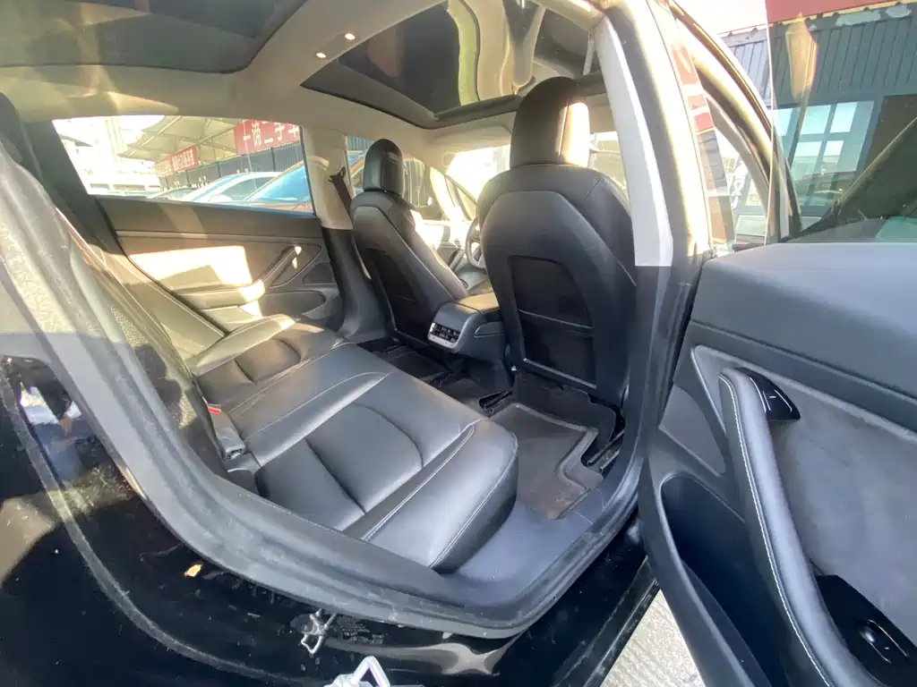 Tesla Model 3 2019 Standard Range Plus RWD