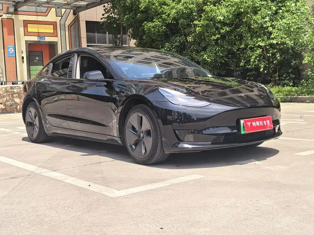 Tesla Model 3 2022 Rear-Wheel Drive