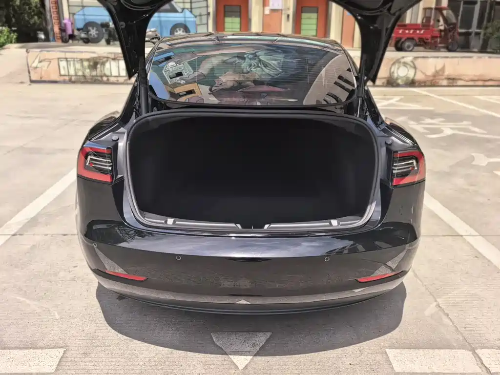 Tesla Model 3 2022 Rear-Wheel Drive