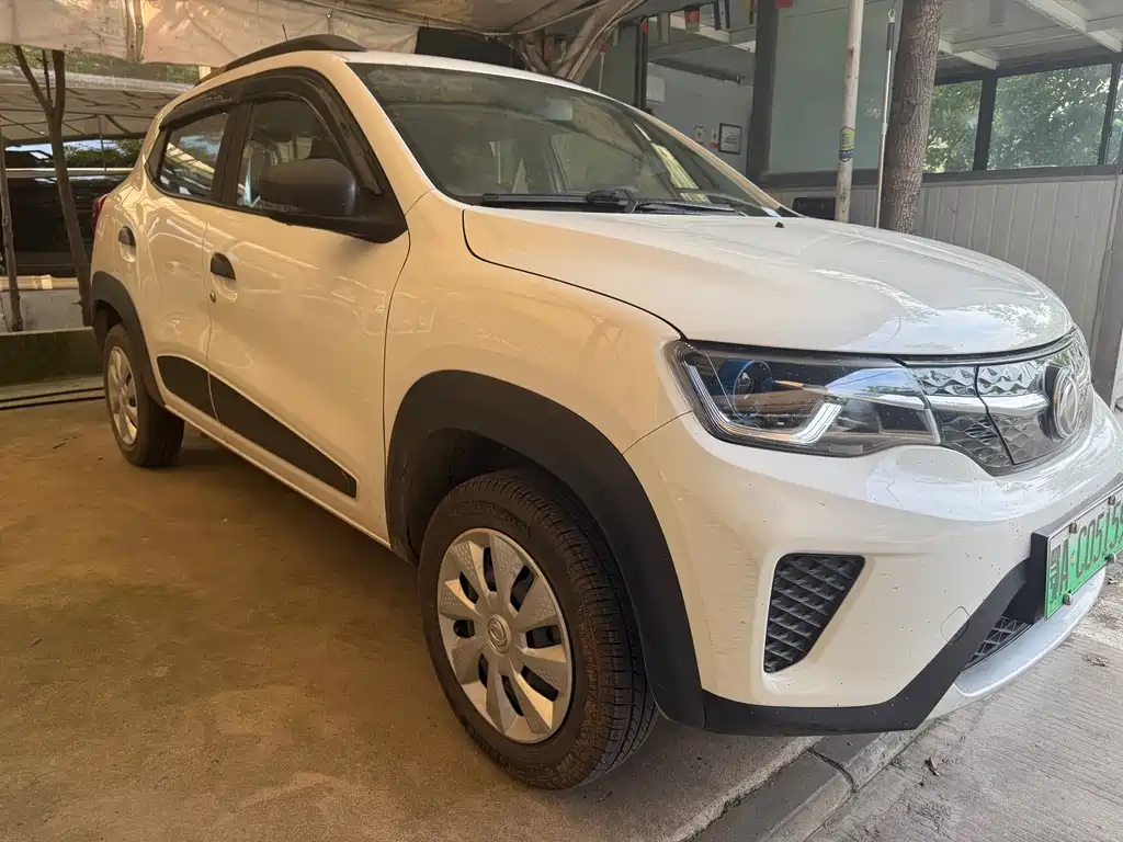 Dongfeng Aeolus EX1 2020 Base