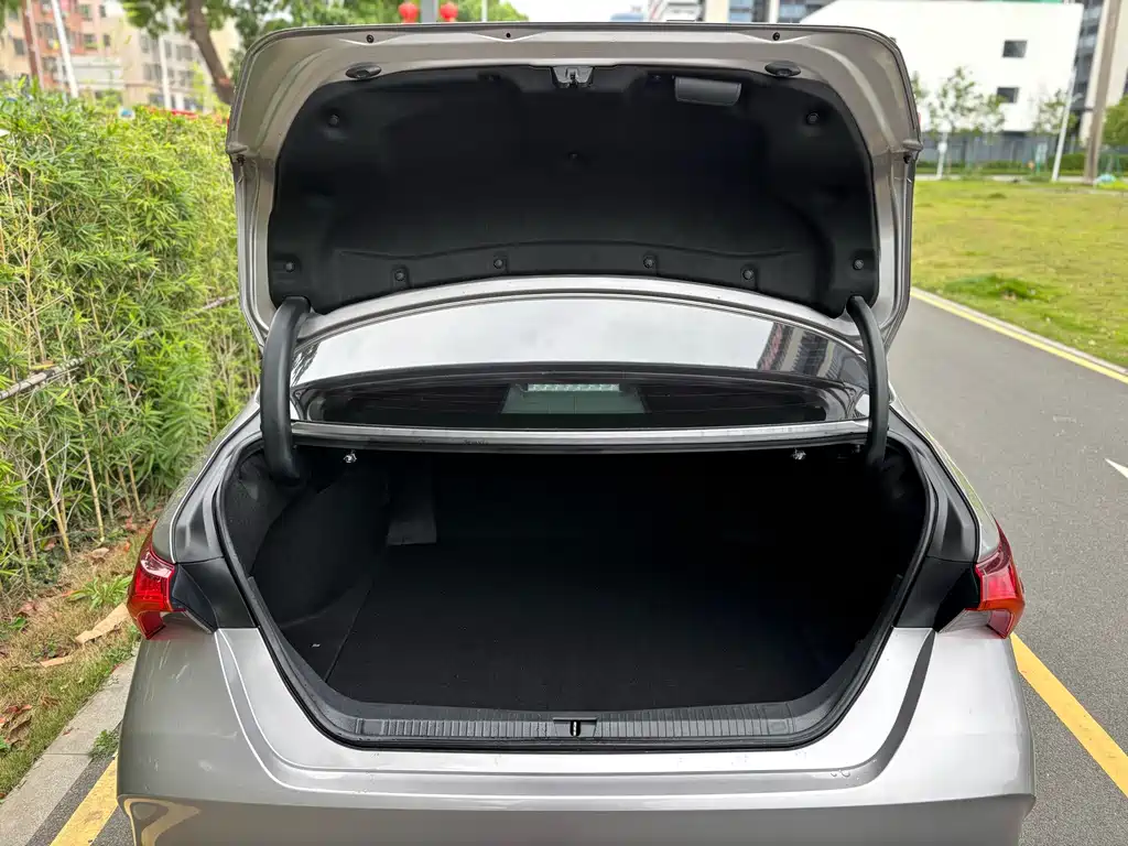 Toyota Avalon 2019 2.0L XLE Premium Edition China VI