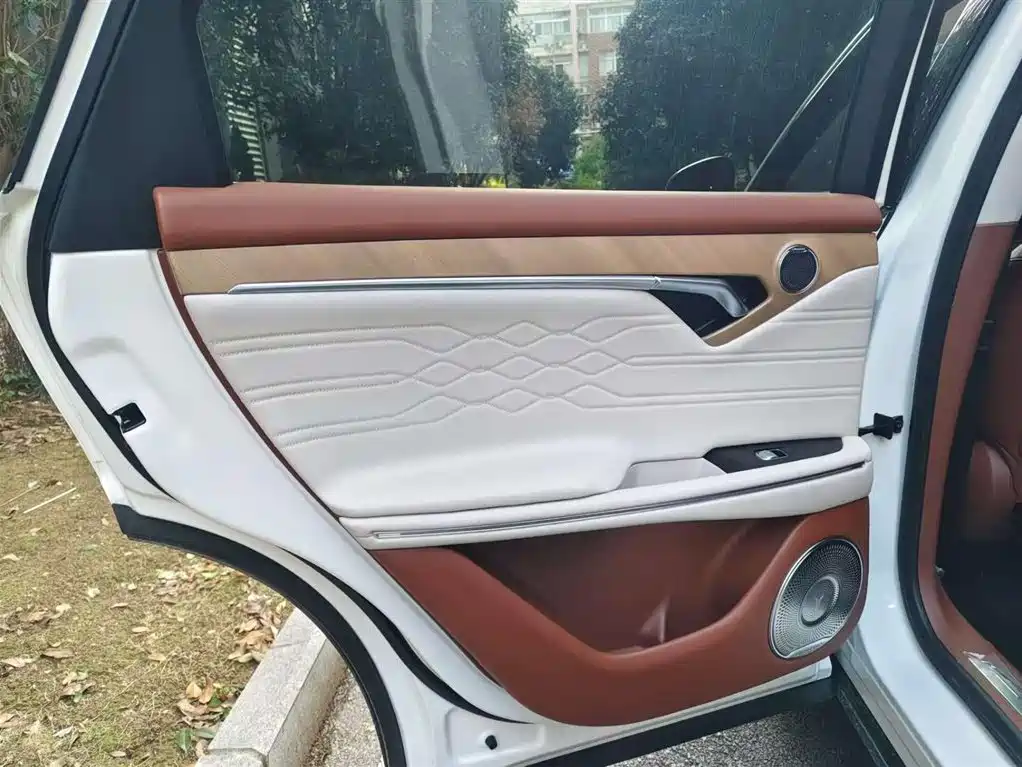 Voyah FREE 2024 Long Range Intelligent Driving Edition