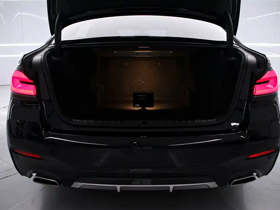 BMW 5 Series 2023 Facelift 530Li Exclusive M Sport Package - фото 15