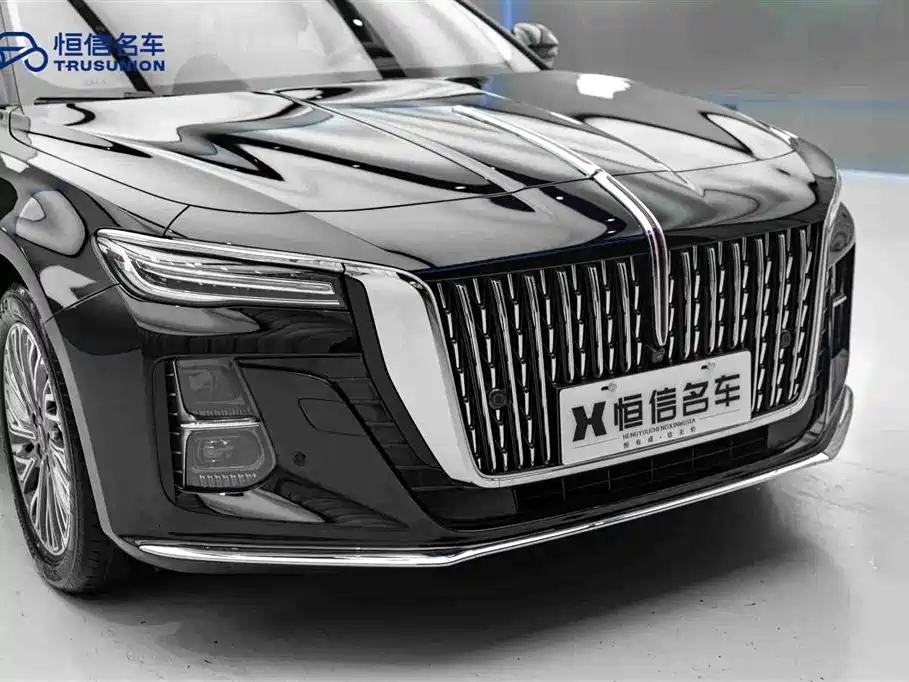 Hongqi H5 2024 2.0T Automatic ZhiLian QiChang Edition