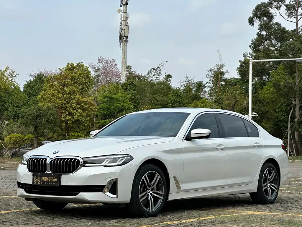 BMW 5 Series 2021 530Li Leading Edition Luxury Package