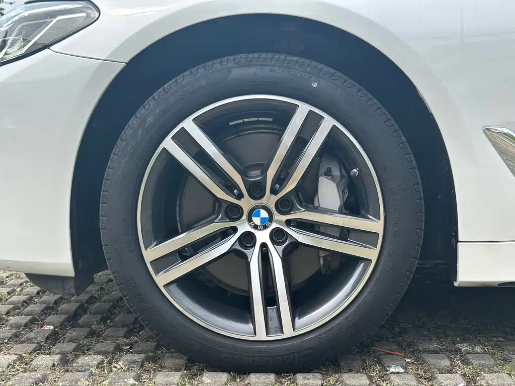 BMW 5 Series 2021 530Li Leading Edition Luxury Package - фото 19