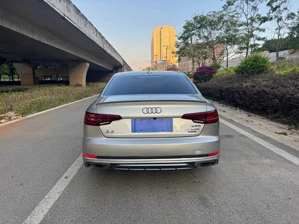 Audi A4L 2019 45 TFSI quattro Individual Sport Edition China V