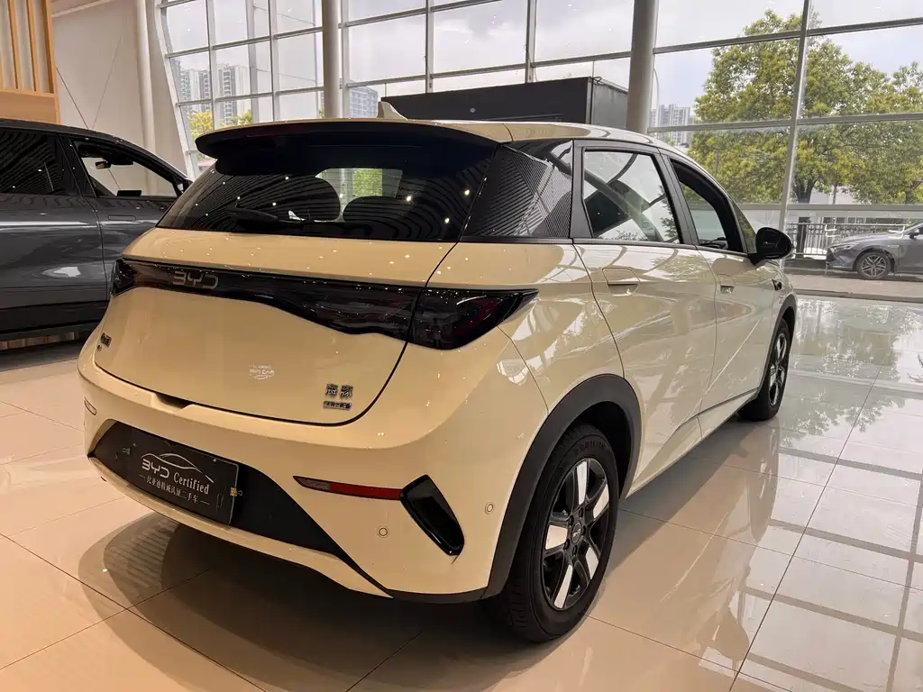 BYD Dolphin 2025 Intelligent Driving Edition 410km Fashion Edition