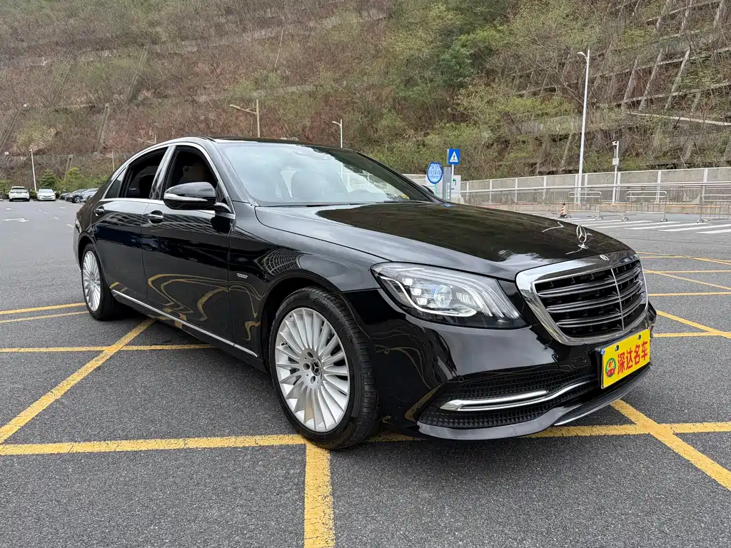 Mercedes-Benz S-Class 2020 S 350 L Business Edition Zhenzang Edition
