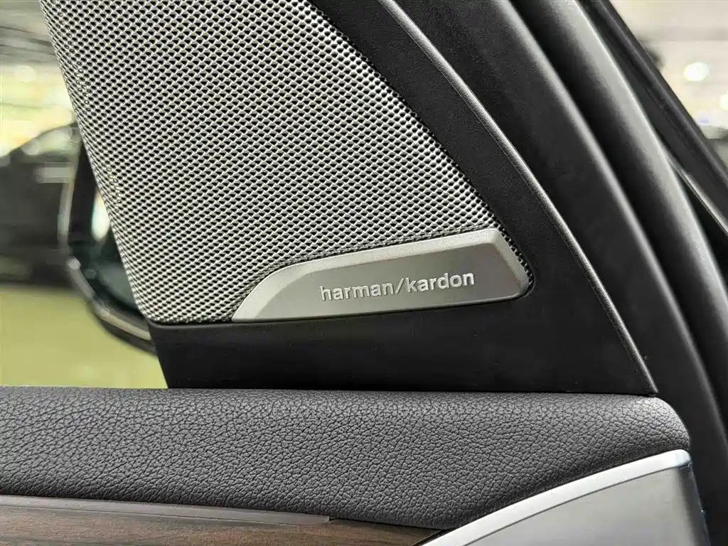 BMW X3 2023 xDrive30i Leading Edition M Night Package - фото 11