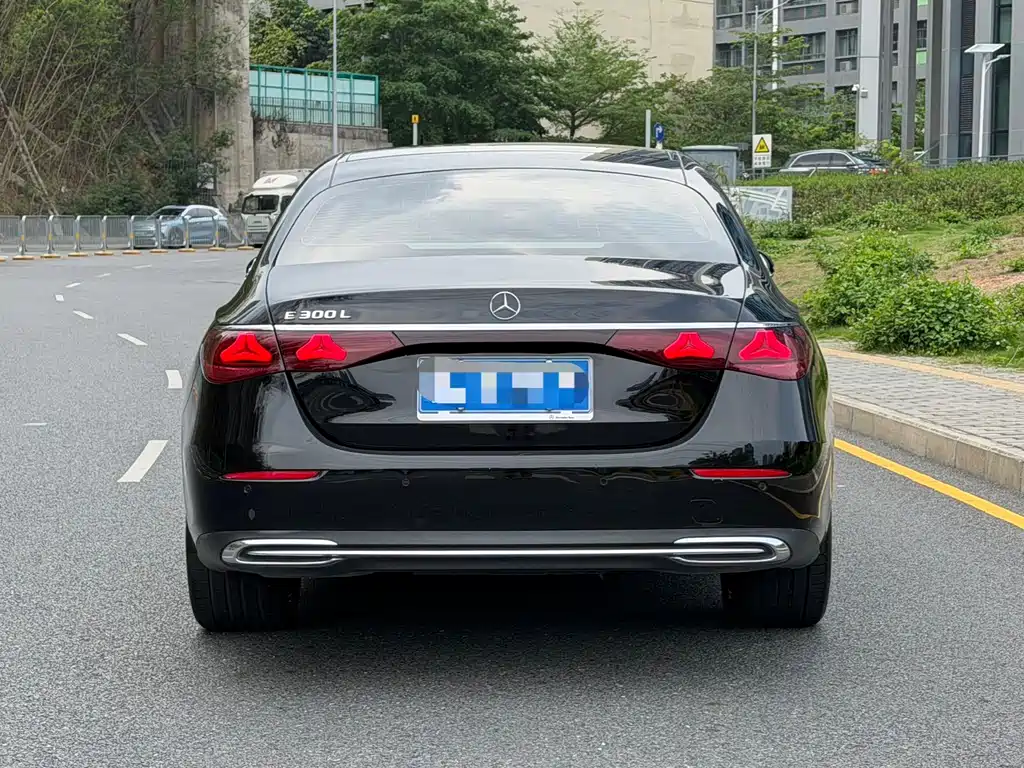 Mercedes-Benz E-Class 2024 E 300 L Luxury Edition