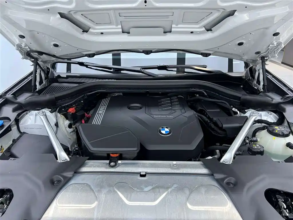 BMW X3 2023 xDrive30i Leading Edition M Night Shadow Package