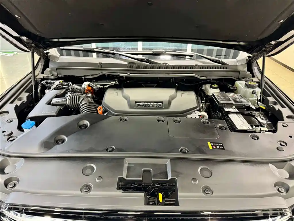 2024 Tank 500 Hi4-T