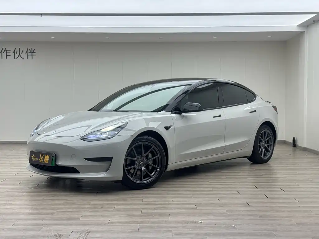 Tesla Model 3 2022 Rear-Wheel Drive
