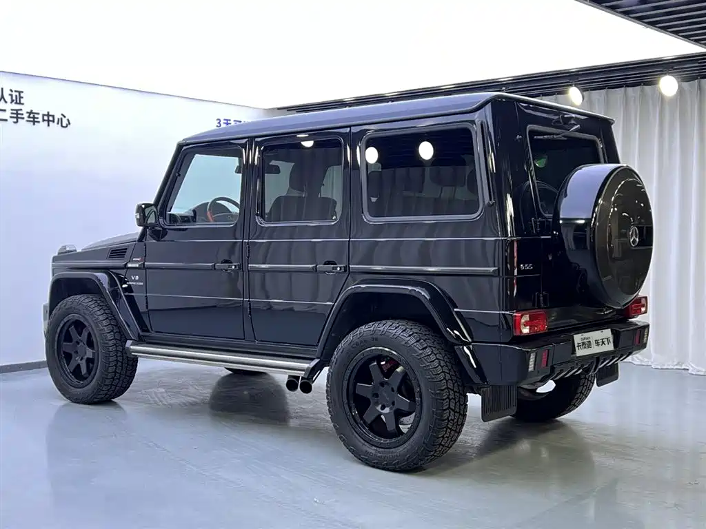 Mercedes-Benz G-Class AMG 2009 AMG G 55