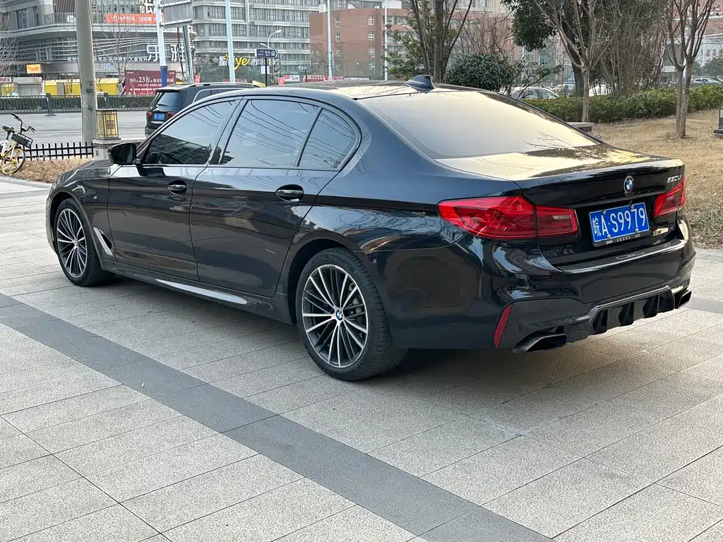 BMW 5 Series 2020 530Li Leading Edition M Sport Package - фото 6