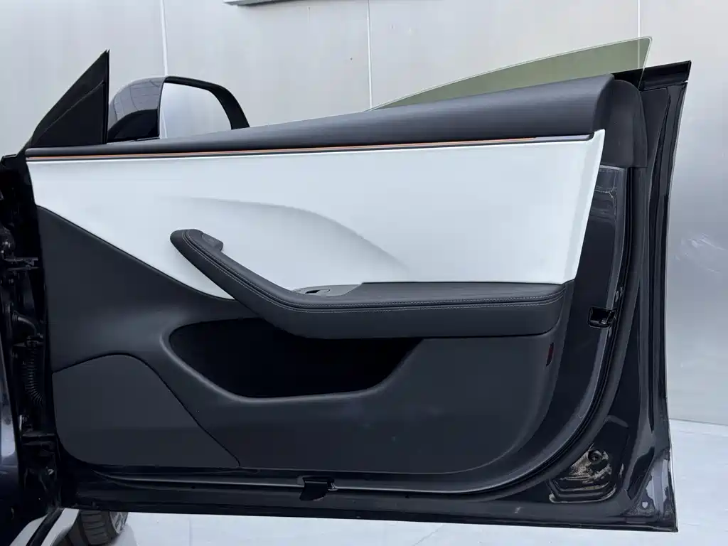 Tesla Model 3 2025 Rear-Wheel Drive