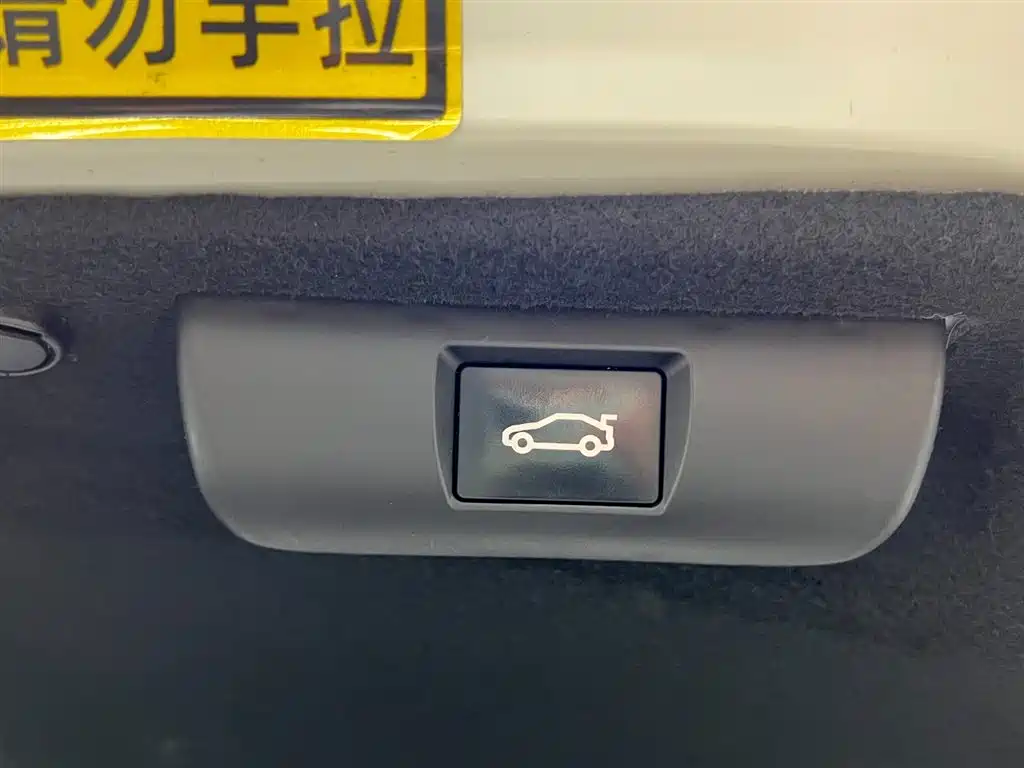 Avalon 2019 Hybrid 2.5L Luxury Edition China VI