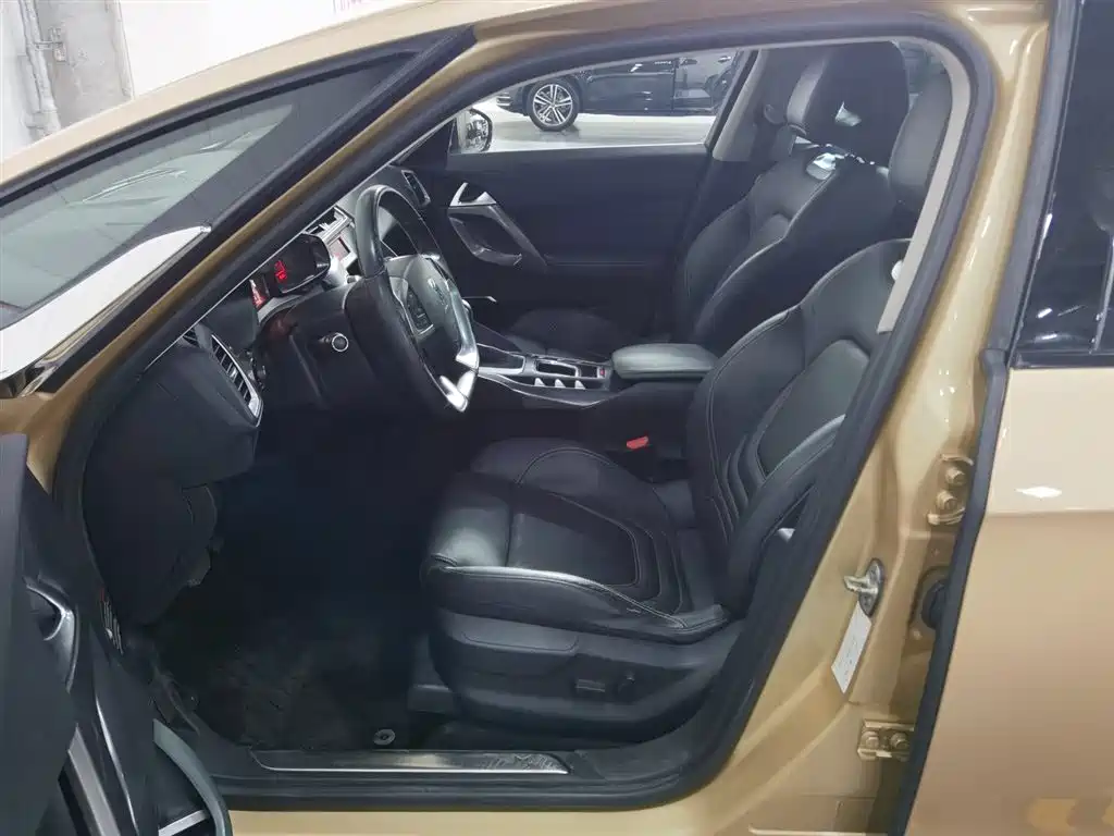 DS 5 2015 1.6T Elegant Edition THP160