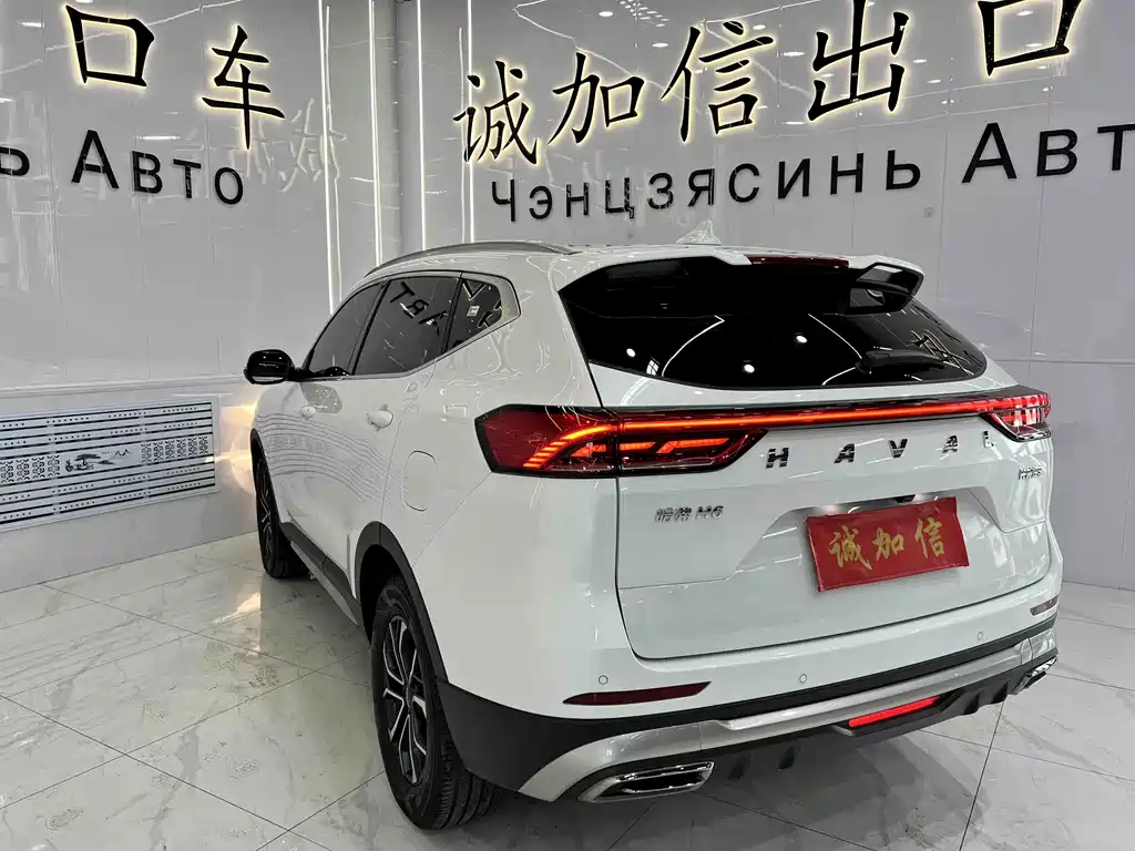 Haval H6 2023 Guochao Edition 1.5T Automatic Urban Edition