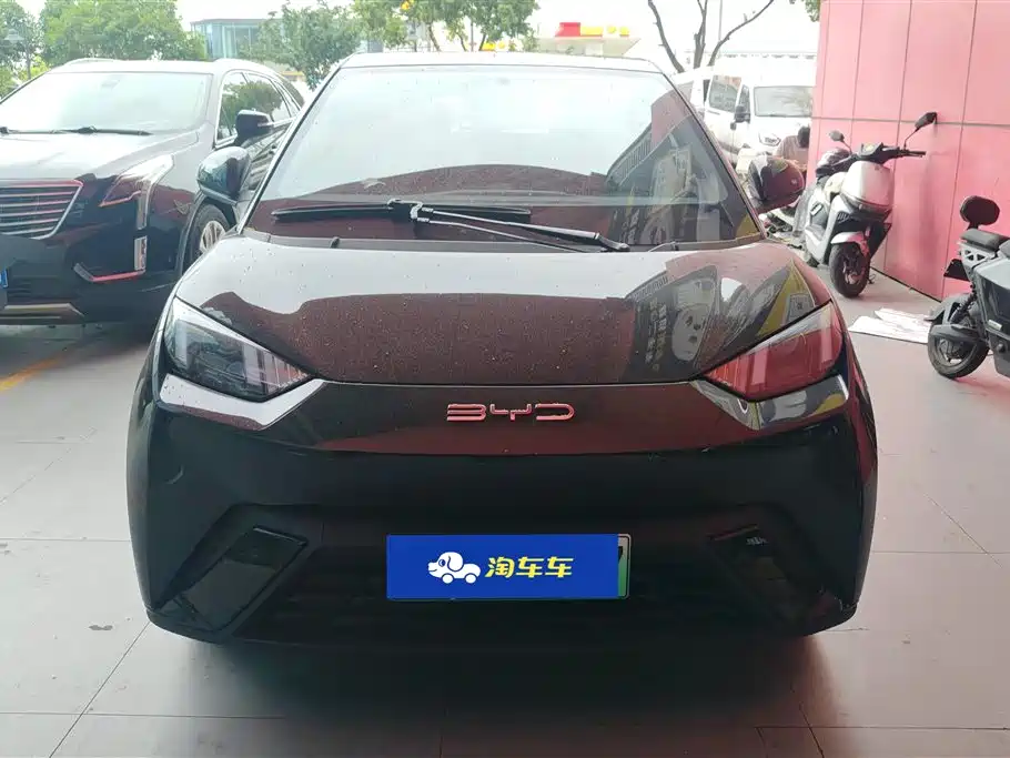 BYD Seagull 2023 Vitality Edition