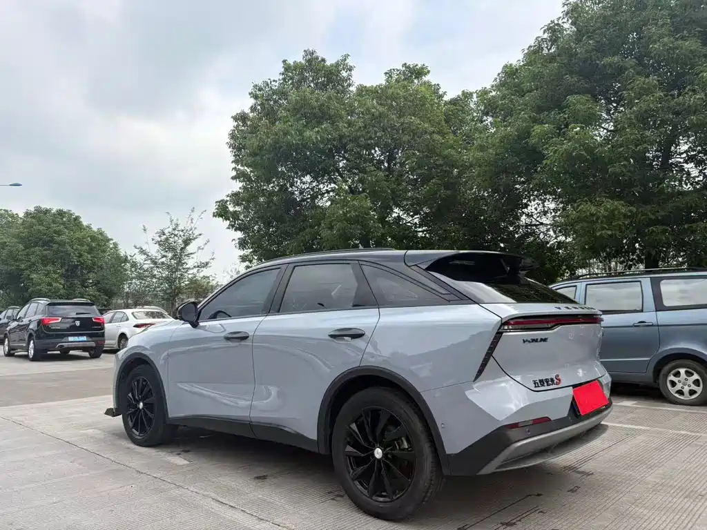 Venucia Big V 2021 260T Tianwang Edition