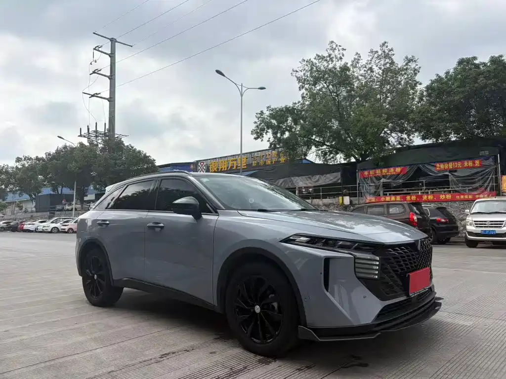 Venucia Big V 2021 260T Tianwang Edition