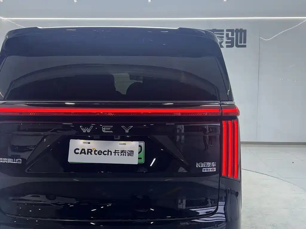WEY Gaoshan 2025 AWD Gaoshan 9