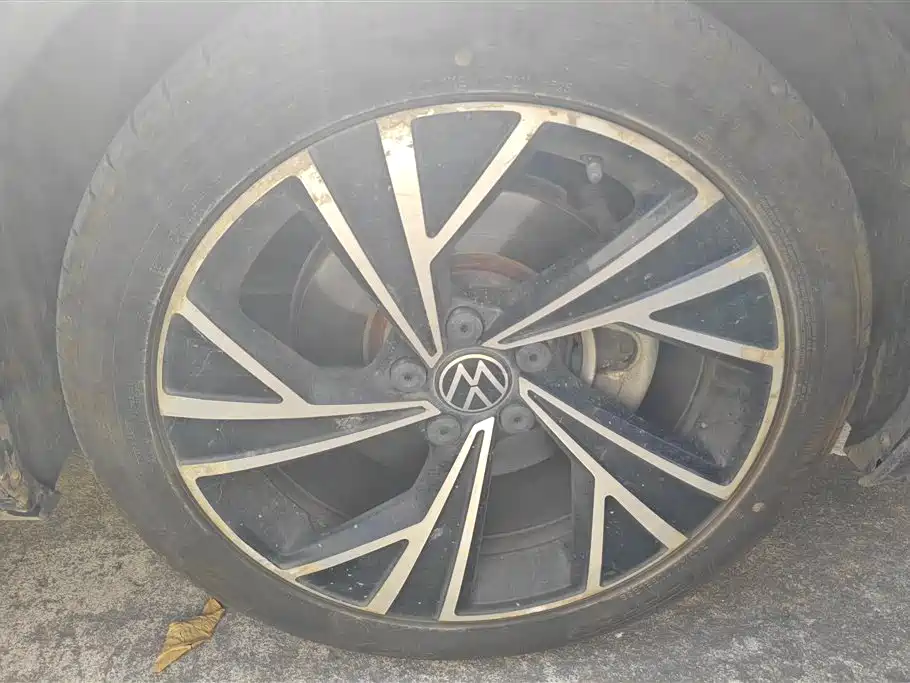 Volkswagen Magotan 2020 330TSI DSG Luxury