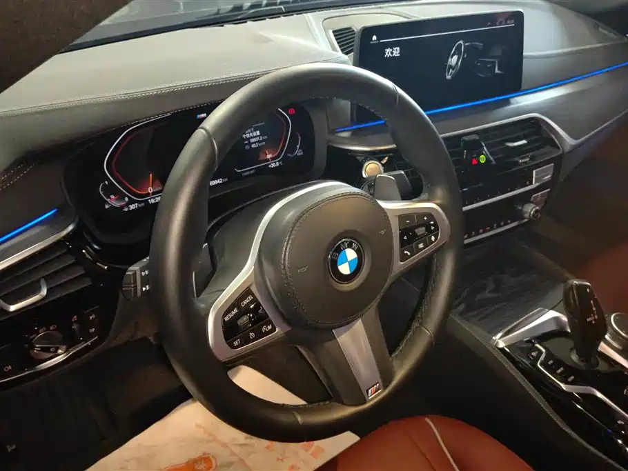 BMW 5 Series 2021 Facelift 530Li Leading Edition M Sport Package - фото 12
