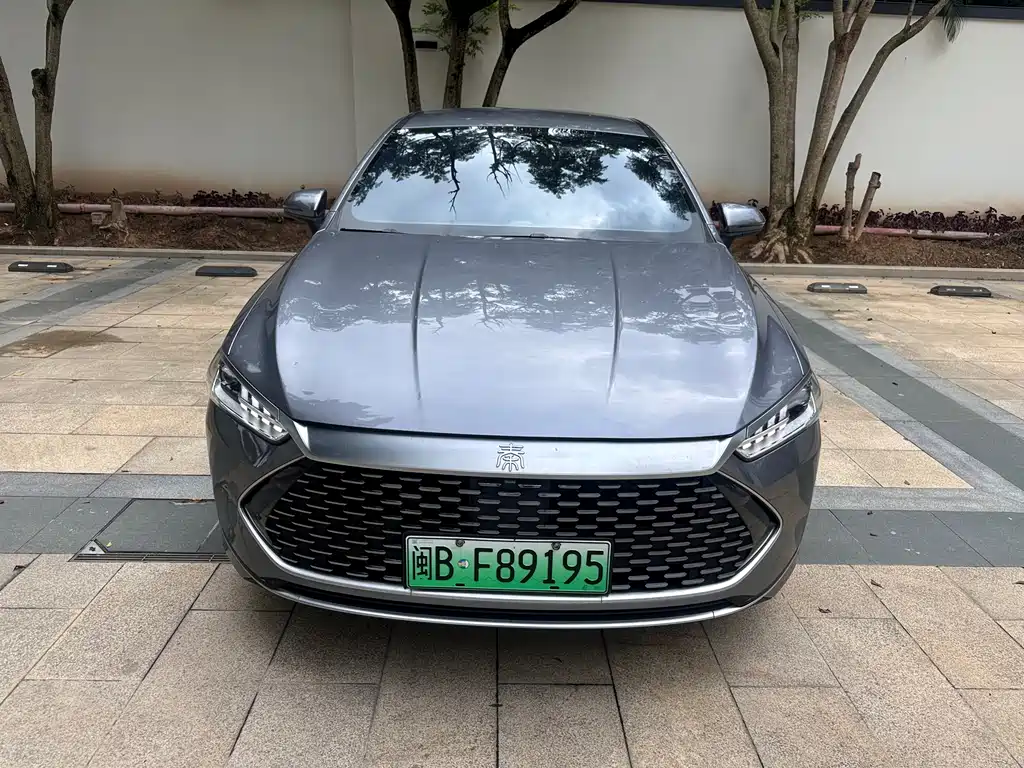Qin PLUS 2021 DM-i 55KM Premium