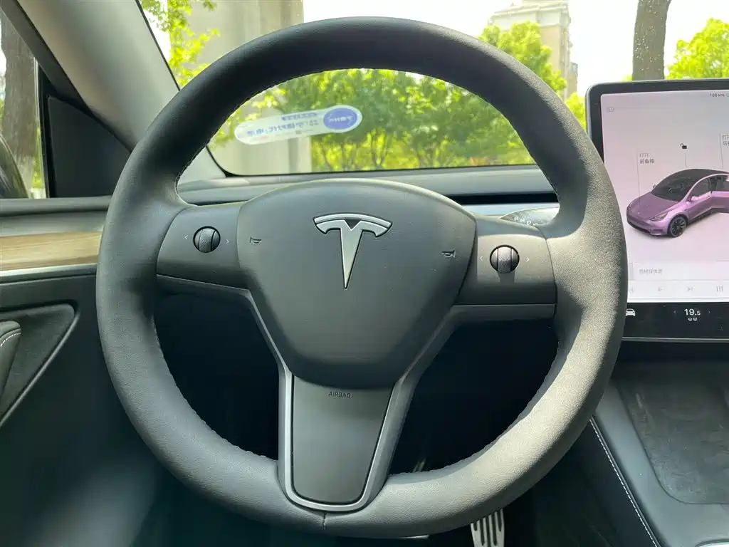 Model Y 2021 Standard Range Rear-Wheel Drive