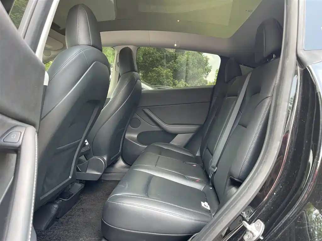 Model Y 2021 Standard Range Rear-Wheel Drive