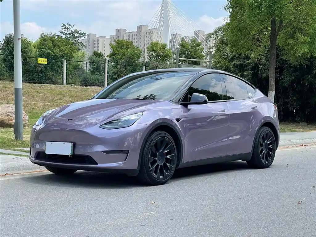 Model Y 2021 Standard Range Rear-Wheel Drive