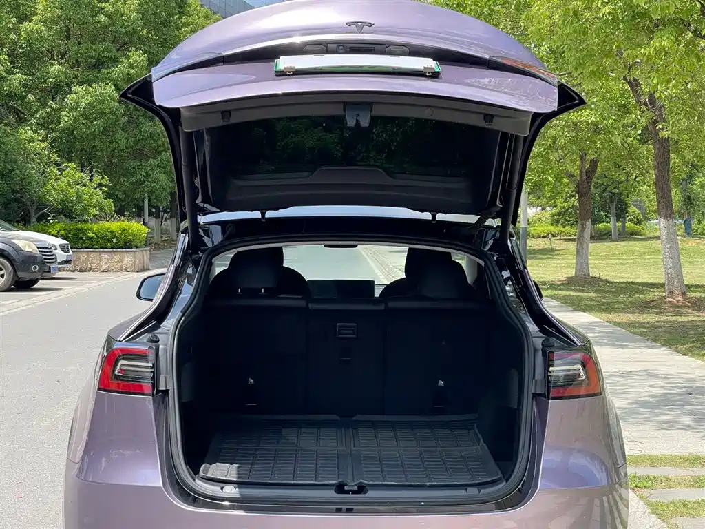 Model Y 2021 Standard Range Rear-Wheel Drive