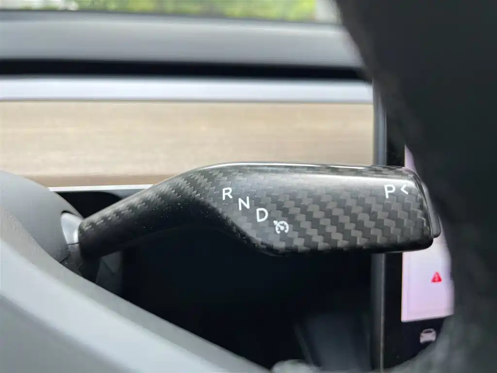Model Y 2021 Standard Range Rear-Wheel Drive