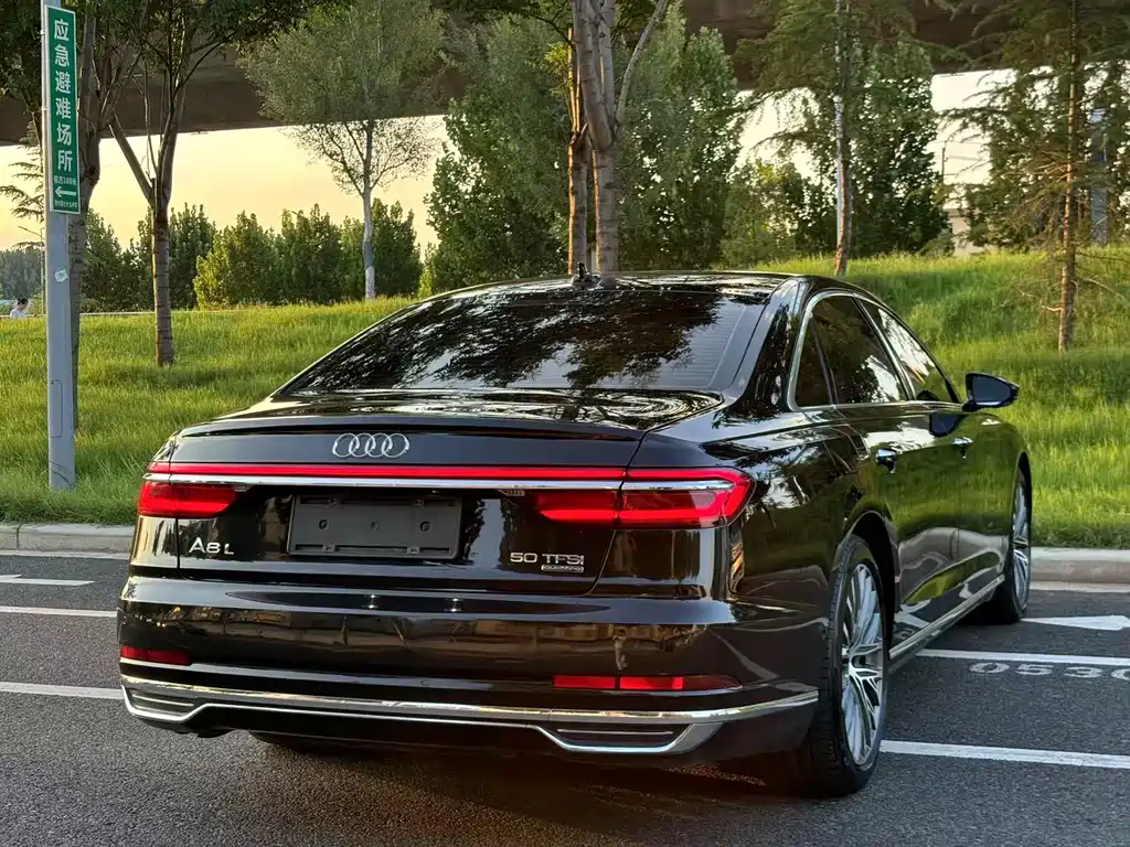 Audi A8L 2019 Plus 50 TFSI quattro Luxury