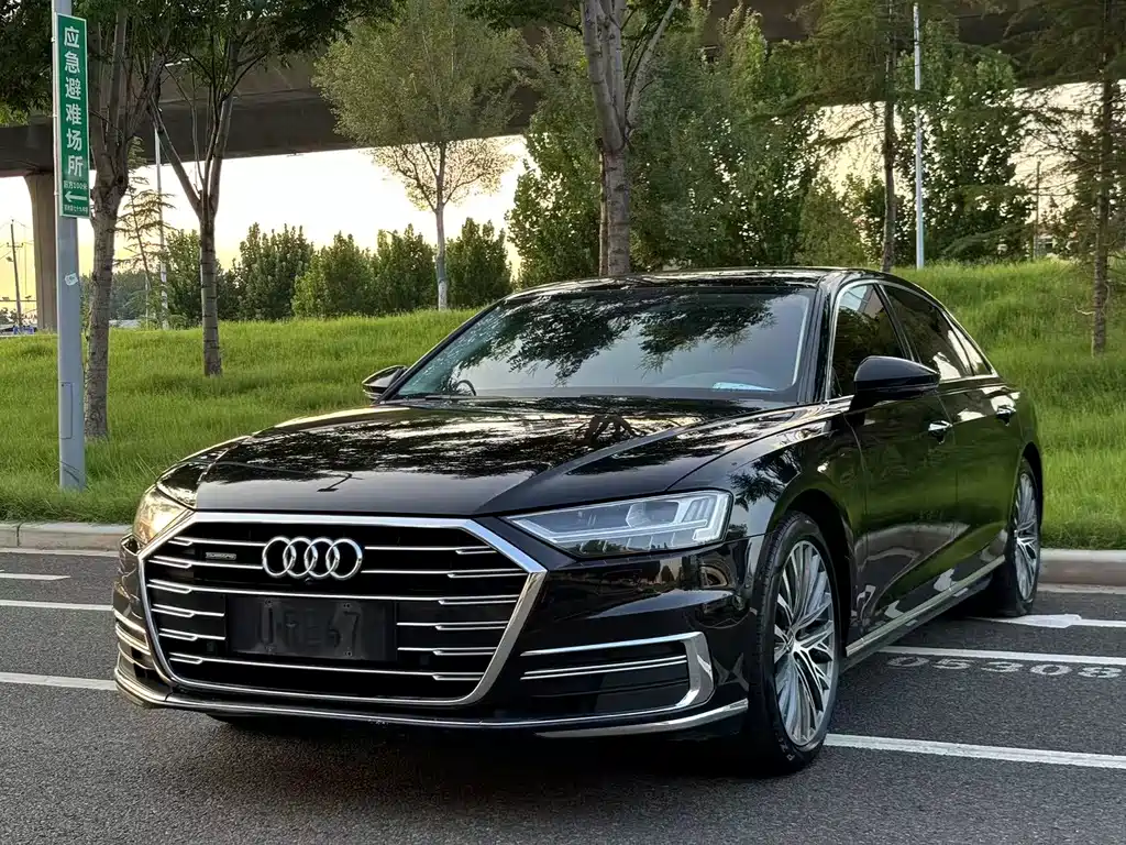 Audi A8L 2019 Plus 50 TFSI quattro Luxury
